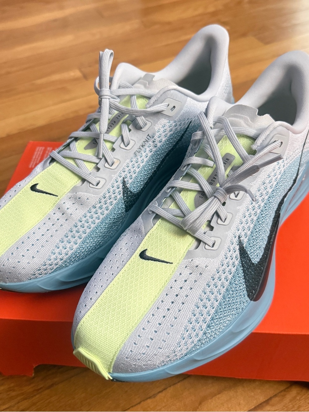Size 13 NEW Men's Nike Pegasus Plus Shoes 'Pure Platinum' FQ7262 012